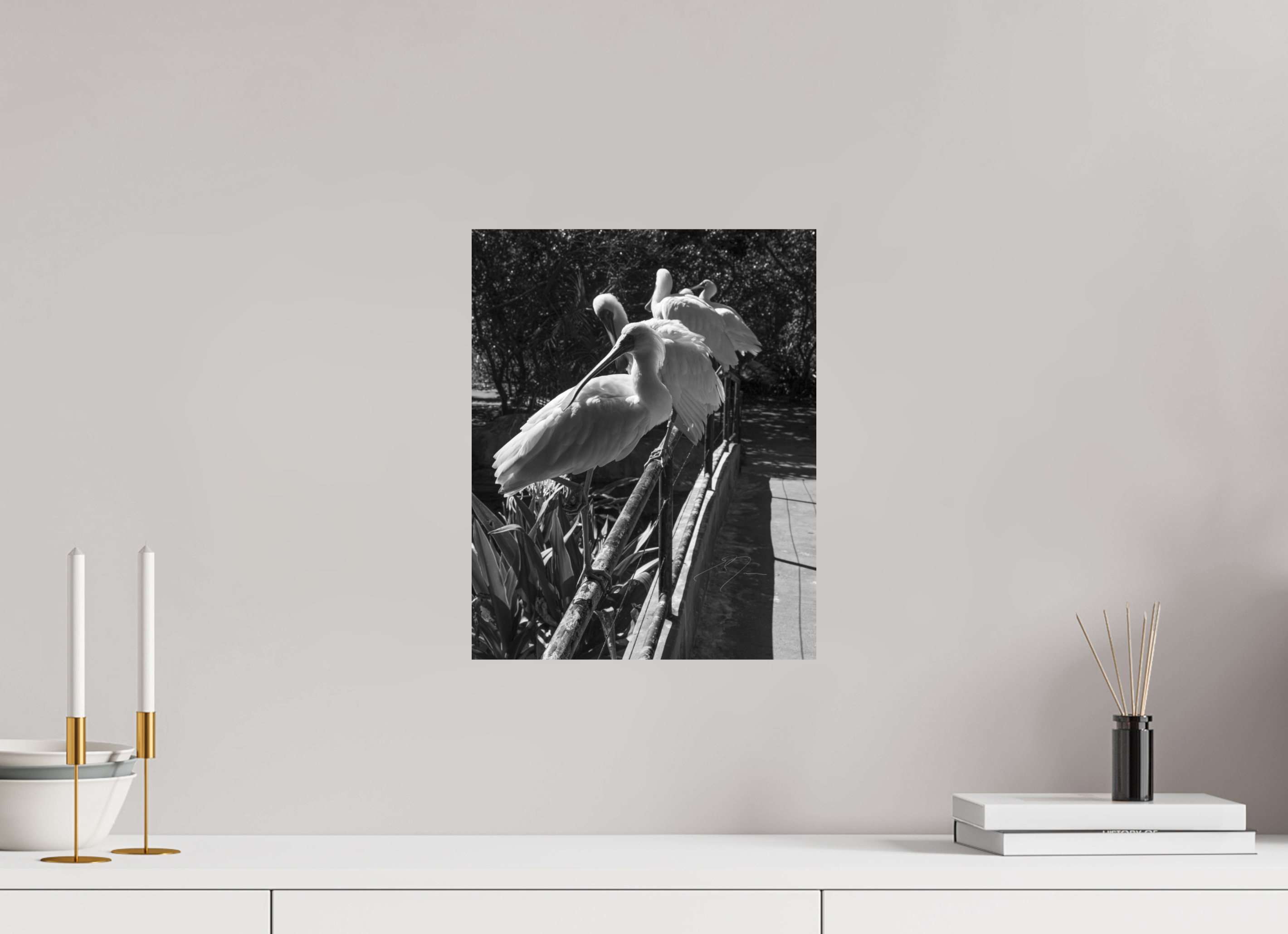 12 x 15″, PRINT ONLY [FUJI CRYSTAL DP II] LOOKING BACK
