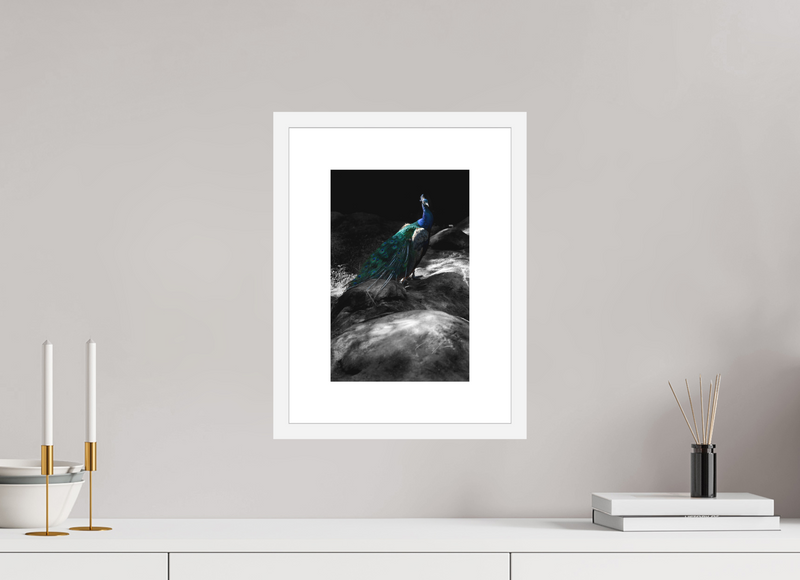 8 x 12″, FRAME - SOLID WOOD [FUJIFLEX] EXPOSITION