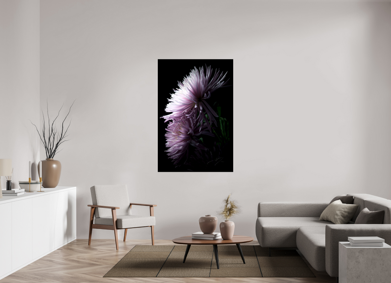 40 x 60″, PHOTO PRINT - FUJIFLEX HIGH GLOSS MUM, No.6