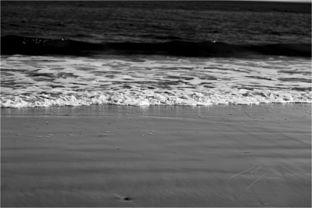 Main image COASTAL WAVE