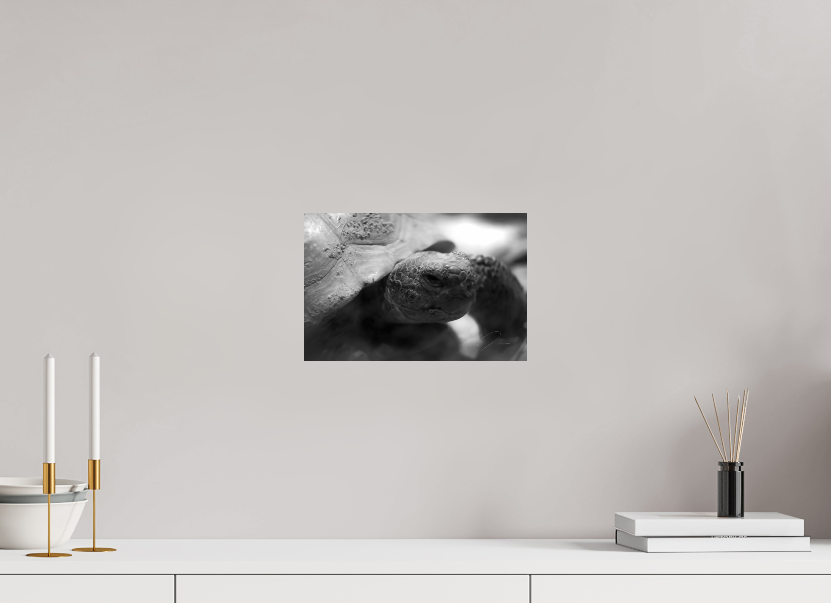 12 x 8″, PRINT ONLY [FUJI CRYSTAL DP II] TORTOISE