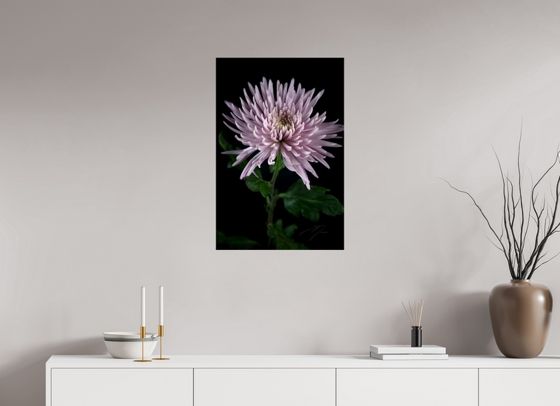 20 x 30″, PHOTO PRINT - FUJIFLEX HIGH GLOSS MUM, No.3