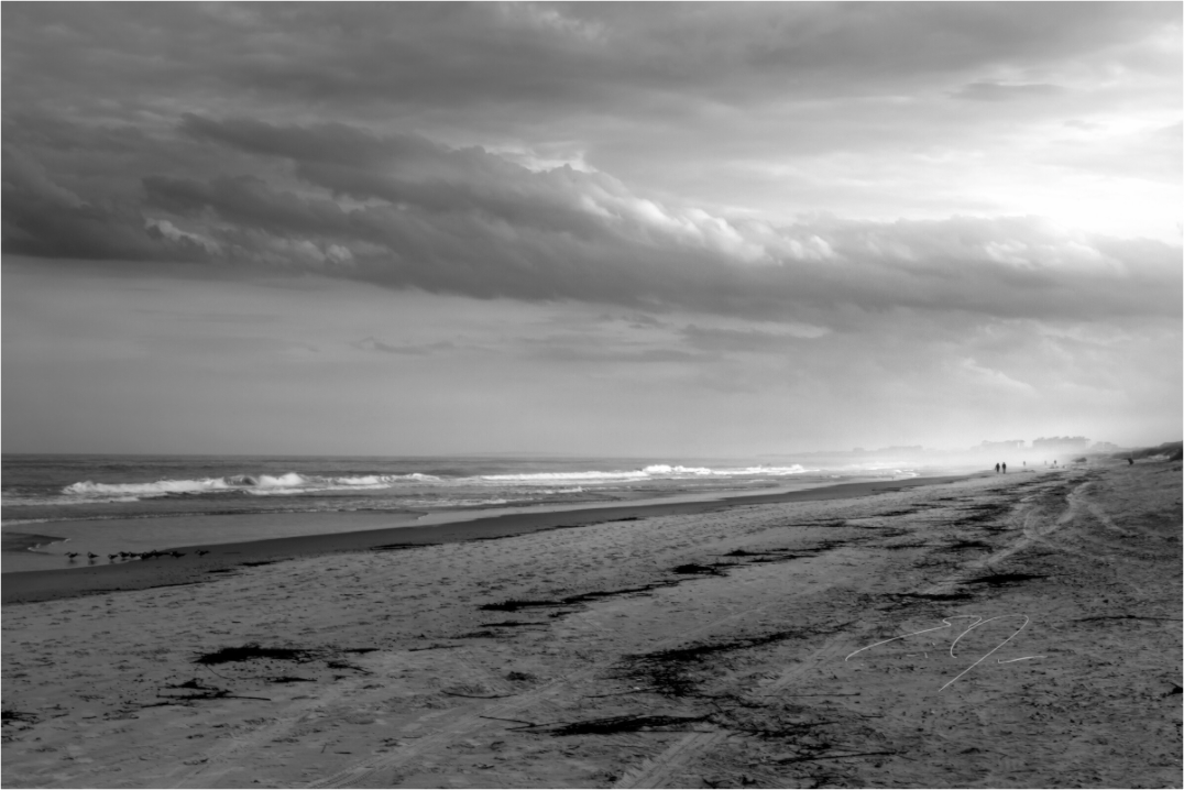 Main image WALK WITH ME