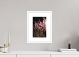 8 x 12″, FRAME - SOLID WOOD [FUJIFLEX] ROSEWIND