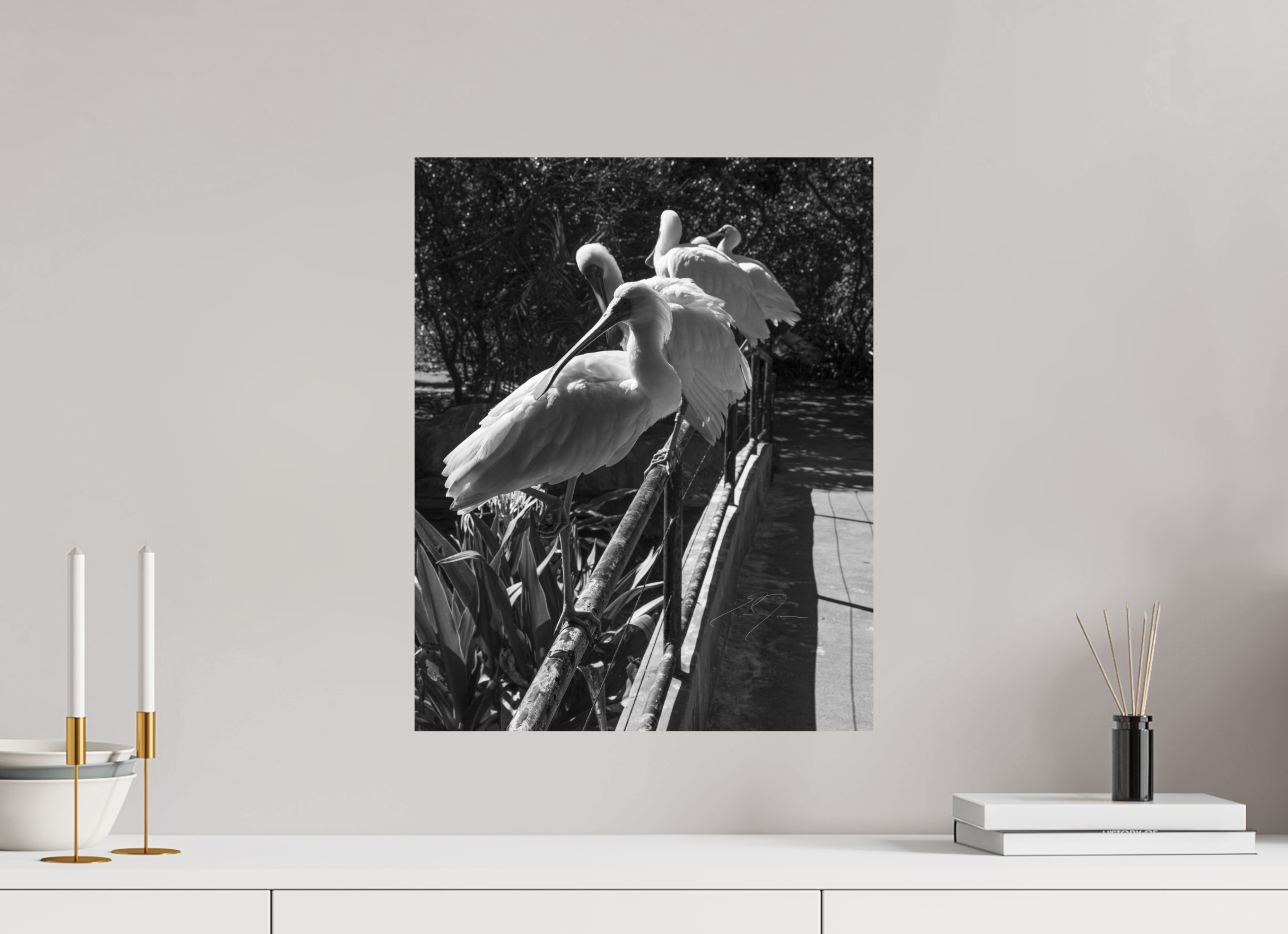 16 x 20″, PRINT ONLY [FUJI CRYSTAL DP II] LOOKING BACK