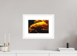 12 x 8″, FRAME - SOLID WOOD [FujiFlex] INCANDESCENCE