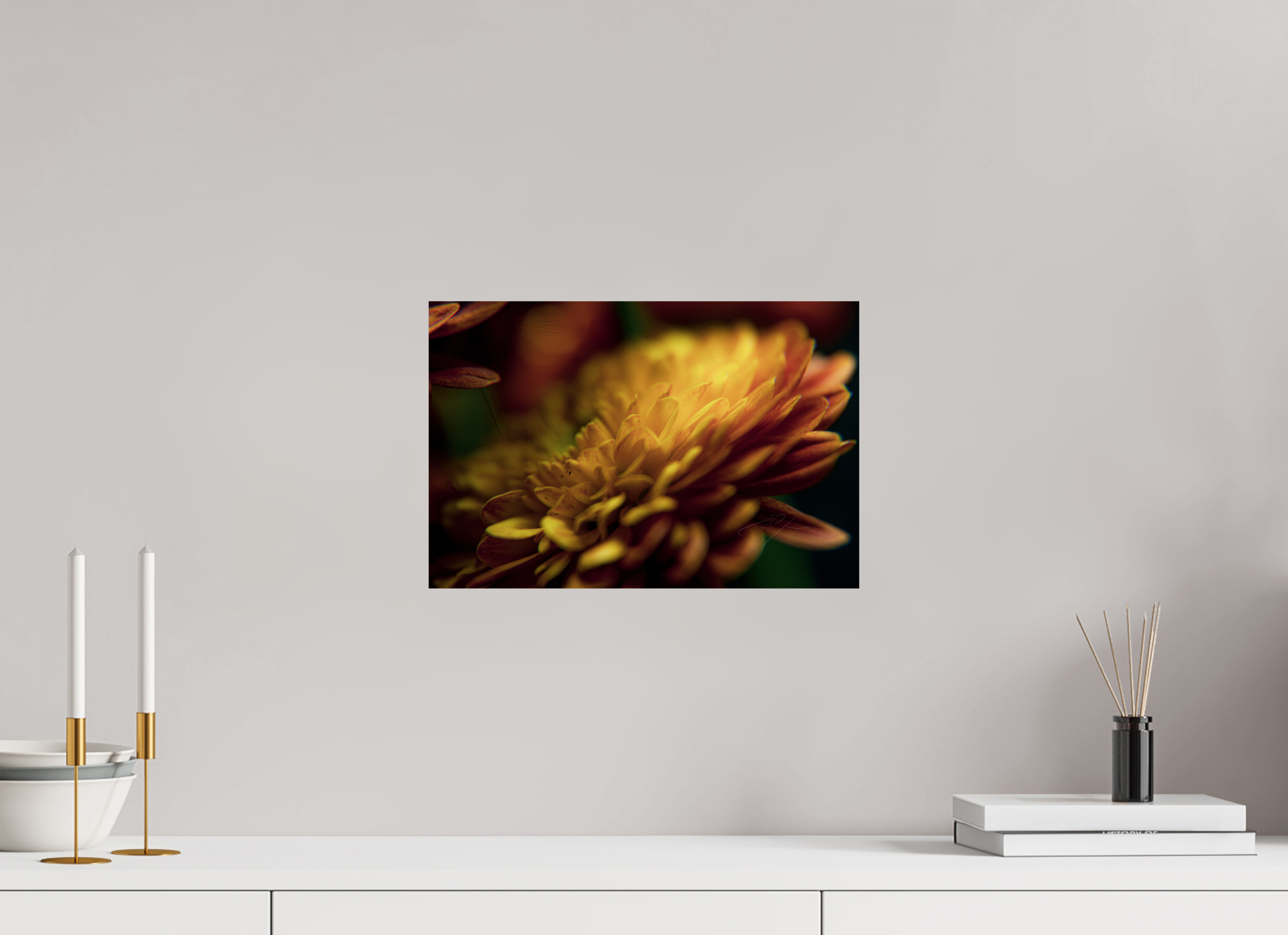 15 x 10″, PRINT ONLY [FUJI CRYSTAL DP II] PETALS' GLOW
