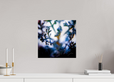 15 x 15″, PHOTO PRINT - FUJIFLEX HIGH GLOSS SENTIENCE