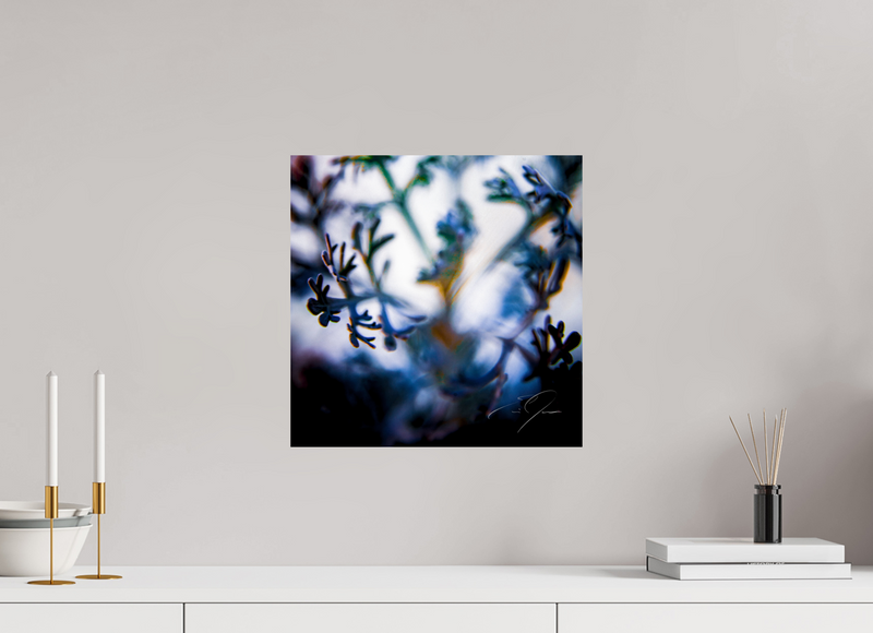 15 x 15″, PHOTO PRINT - FUJIFLEX HIGH GLOSS SENTIENCE