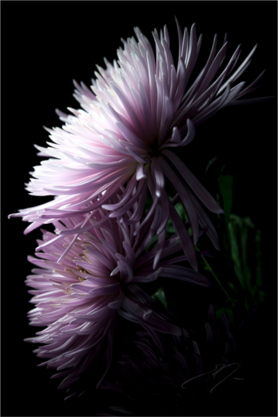 Main image MUM, No.6