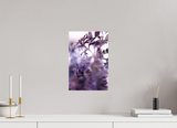 10 x 15″, PHOTO PRINT - FUJIFLEX HIGH GLOSS ALLURE