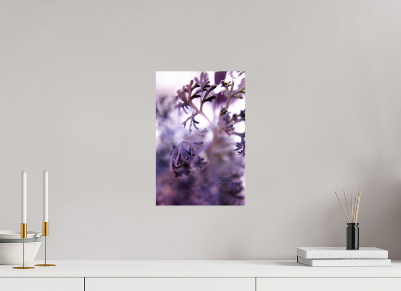 10 x 15″, PHOTO PRINT - FUJIFLEX HIGH GLOSS ALLURE