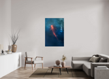 36 x 54″, PHOTO PRINT - FUJIFLEX HIGH GLOSS KOI