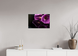 24 x 16″, PHOTO PRINT - FUJIFLEX HIGH GLOSS EMULATE