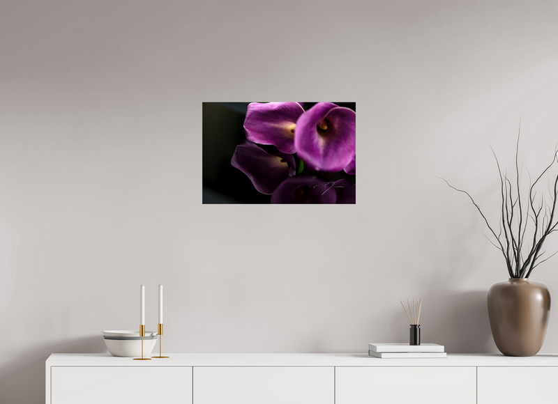 24 x 16″, PHOTO PRINT - FUJIFLEX HIGH GLOSS EMULATE