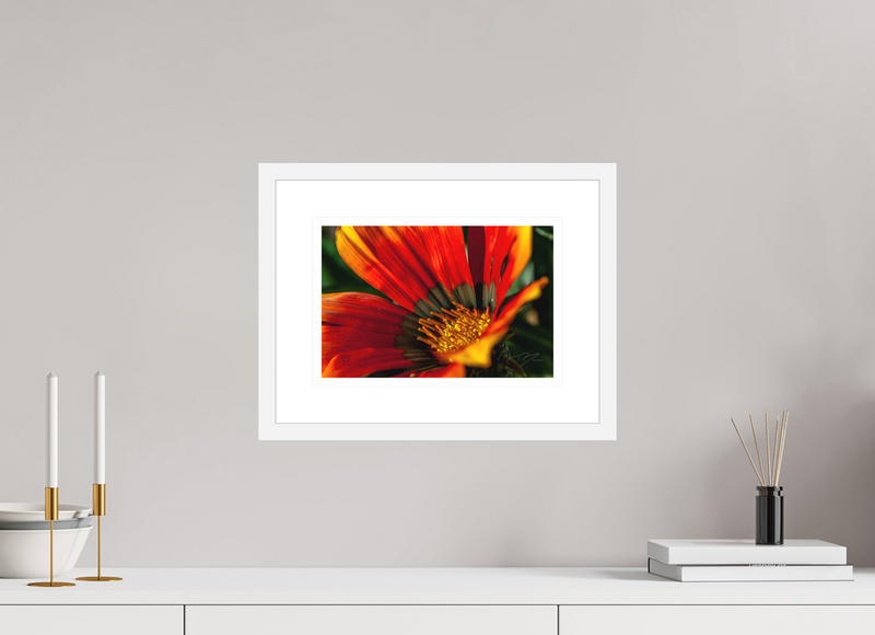 12 x 8″, FRAME - SOLID WOOD [FUJIFLEX] FALL IN LOVE