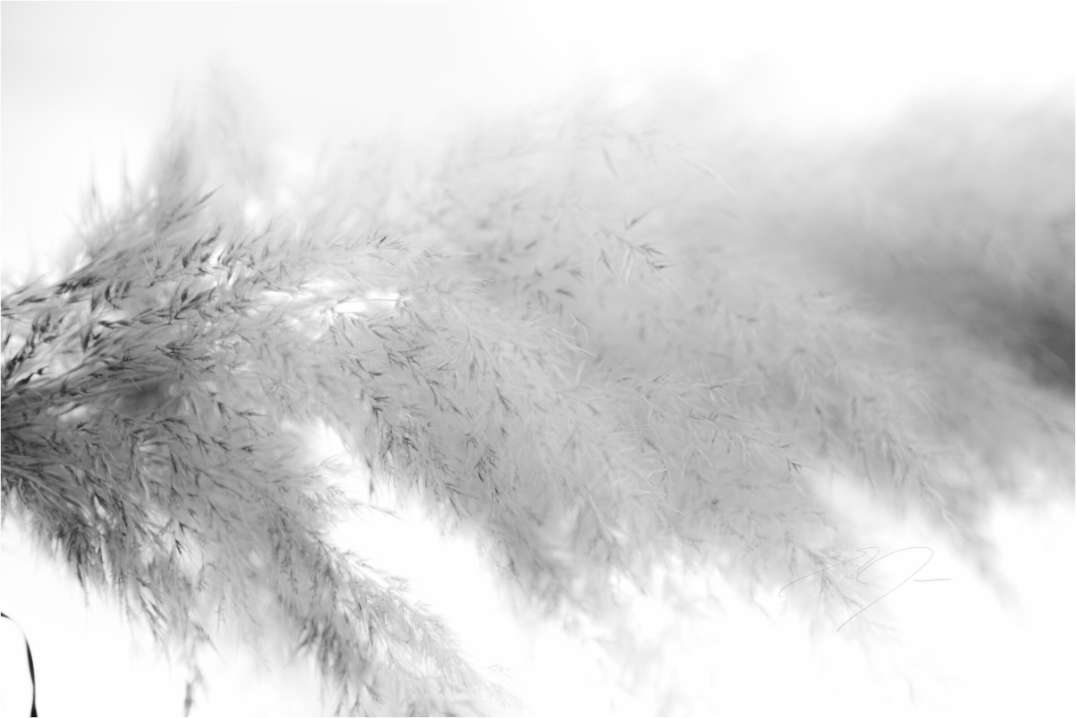 Main image DREAM STATE, No.5
