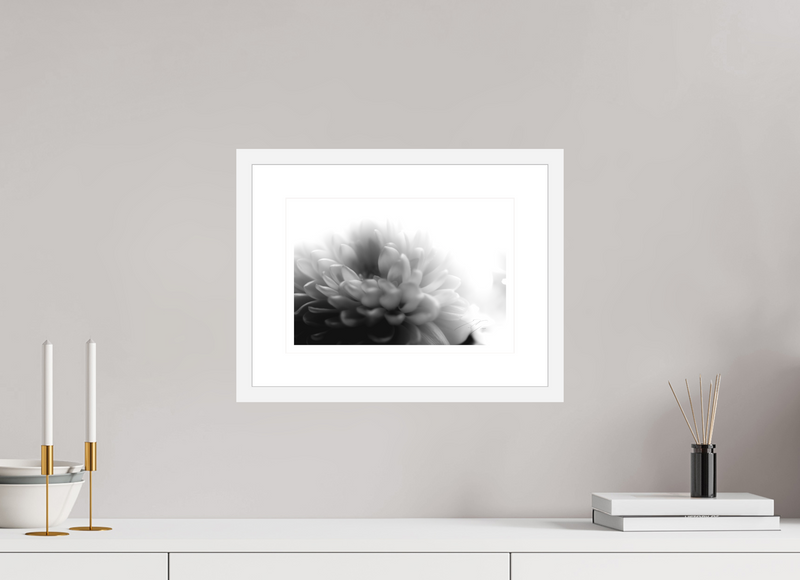 12 x 8″, FRAME - SOLID WOOD [FUJIFLEX] AFFABLE