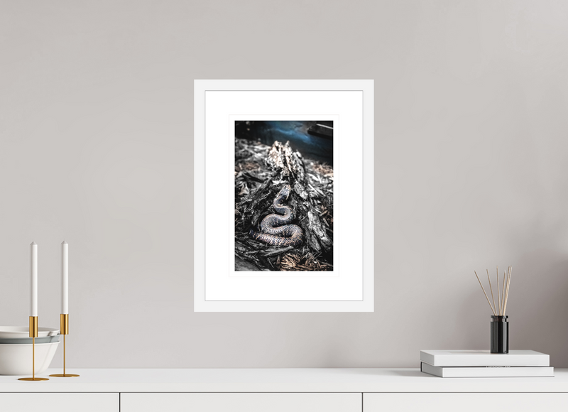 8 x 12″, FRAME - SOLID WOOD [FUJIFLEX] COILED