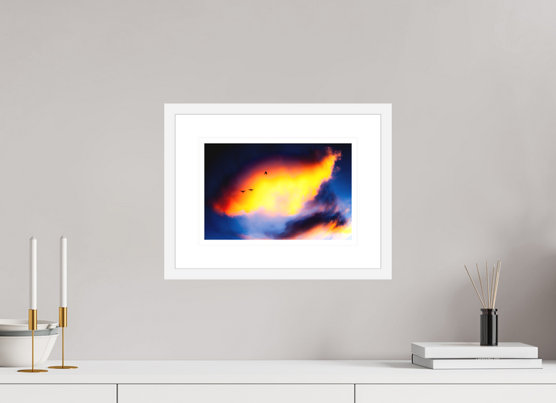 12 x 8″, FRAME - SOLID WOOD [FUJIFLEX] FLY AWAY