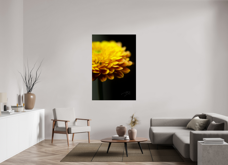 40 x 60″, PHOTO PRINT - FUJIFLEX HIGH GLOSS SOLE