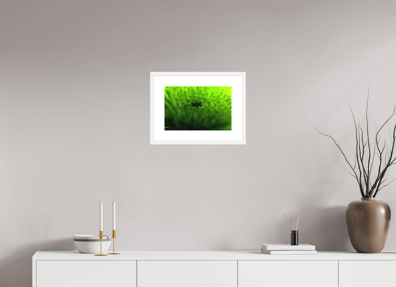 15 x 10″, FRAME - SOLID WOOD [FUJIFLEX] COME TO LIFE