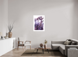 24 x 36″, FRAME - SOLID WOOD [FUJIFLEX] ALLURE