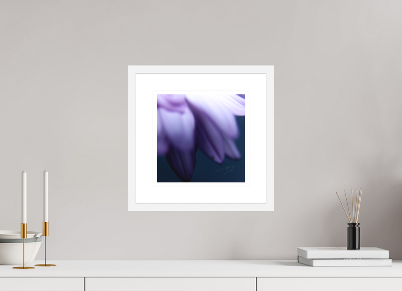 10 x 10″, FRAME - SOLID WOOD [FUJIFLEX] PETALS' EDGE