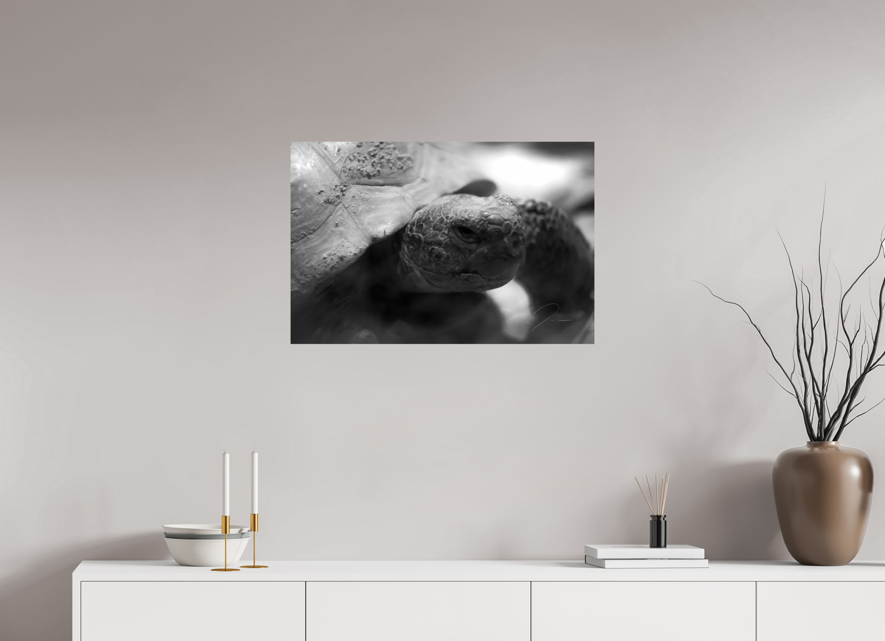 30 x 20″, PRINT ONLY [FUJI CRYSTAL DP II] TORTOISE