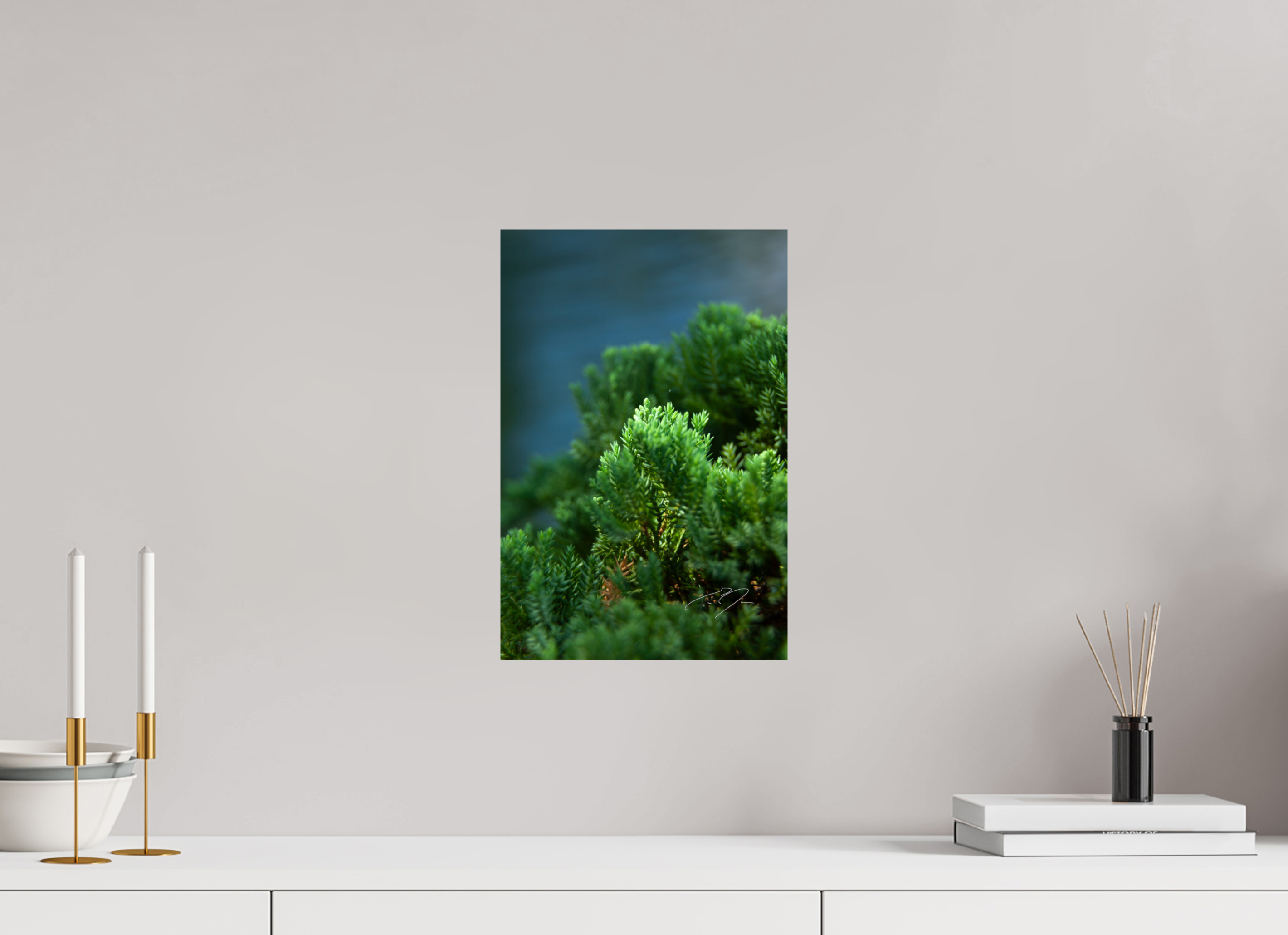 10 x 15″, PRINT ONLY [FUJI CRYSTAL DP II] VERDANT