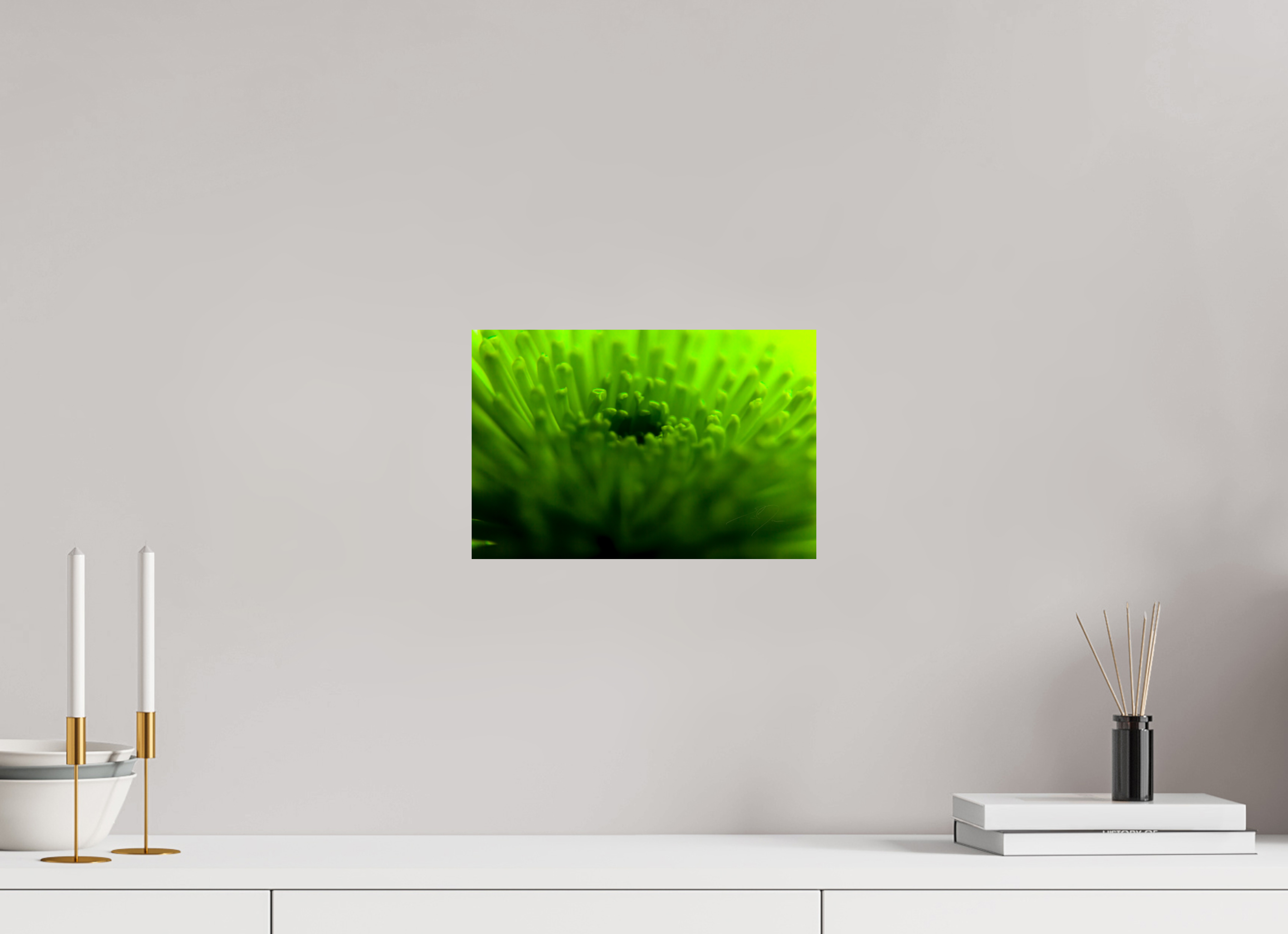 12 x 8″, PRINT ONLY [FUJI CRYSTAL DP II] COME TO LIFE