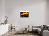 36 x 24″, FRAME - SOLID WOOD [FujiFlex] INCANDESCENCE