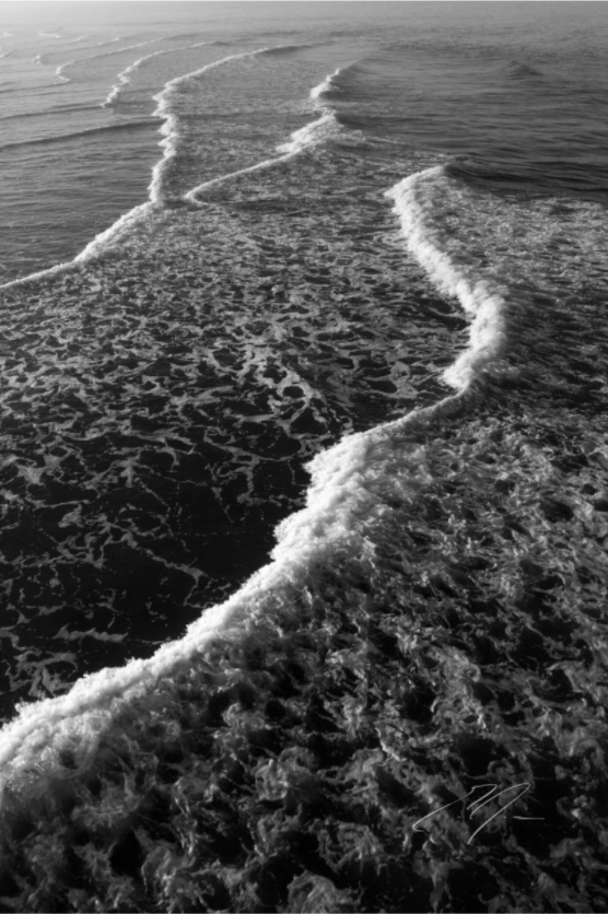Main image THE MORNING WAVES