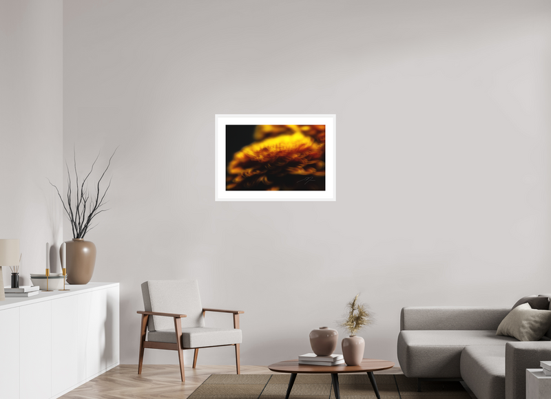 30 x 20″, FRAME - SOLID WOOD [FujiFlex] INCANDESCENCE