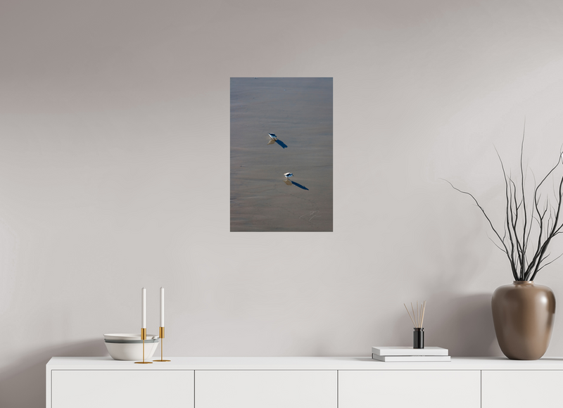 16 x 24″, PHOTO PRINT - FUJIFLEX HIGH GLOSS TWO BIRDS
