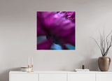 30 x 30″, PHOTO PRINT - FUJIFLEX HIGH GLOSS UNDERNEATH