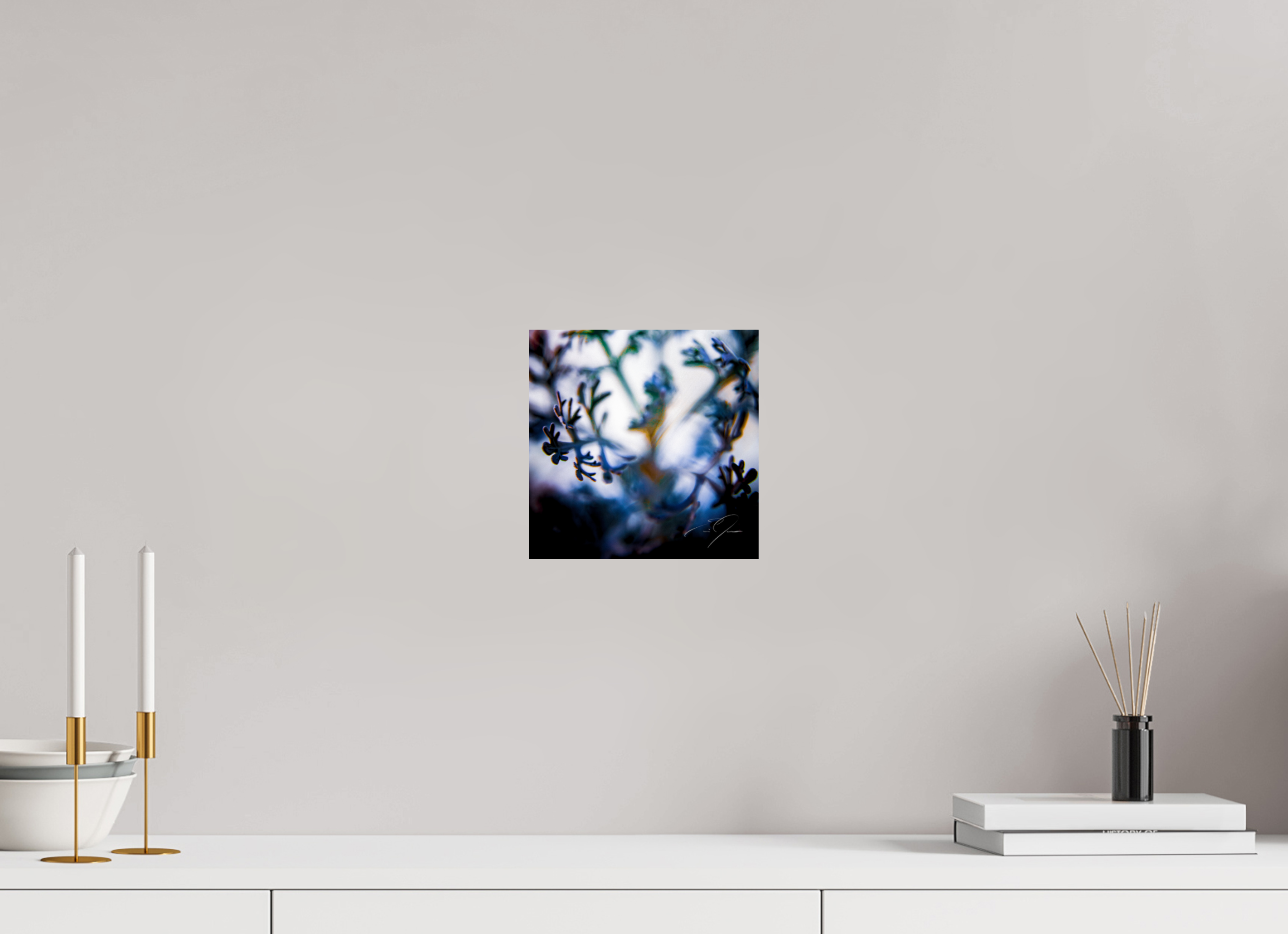 8 x 8″, PRINT ONLY [FUJI CRYSTAL DP II] SENTIENCE