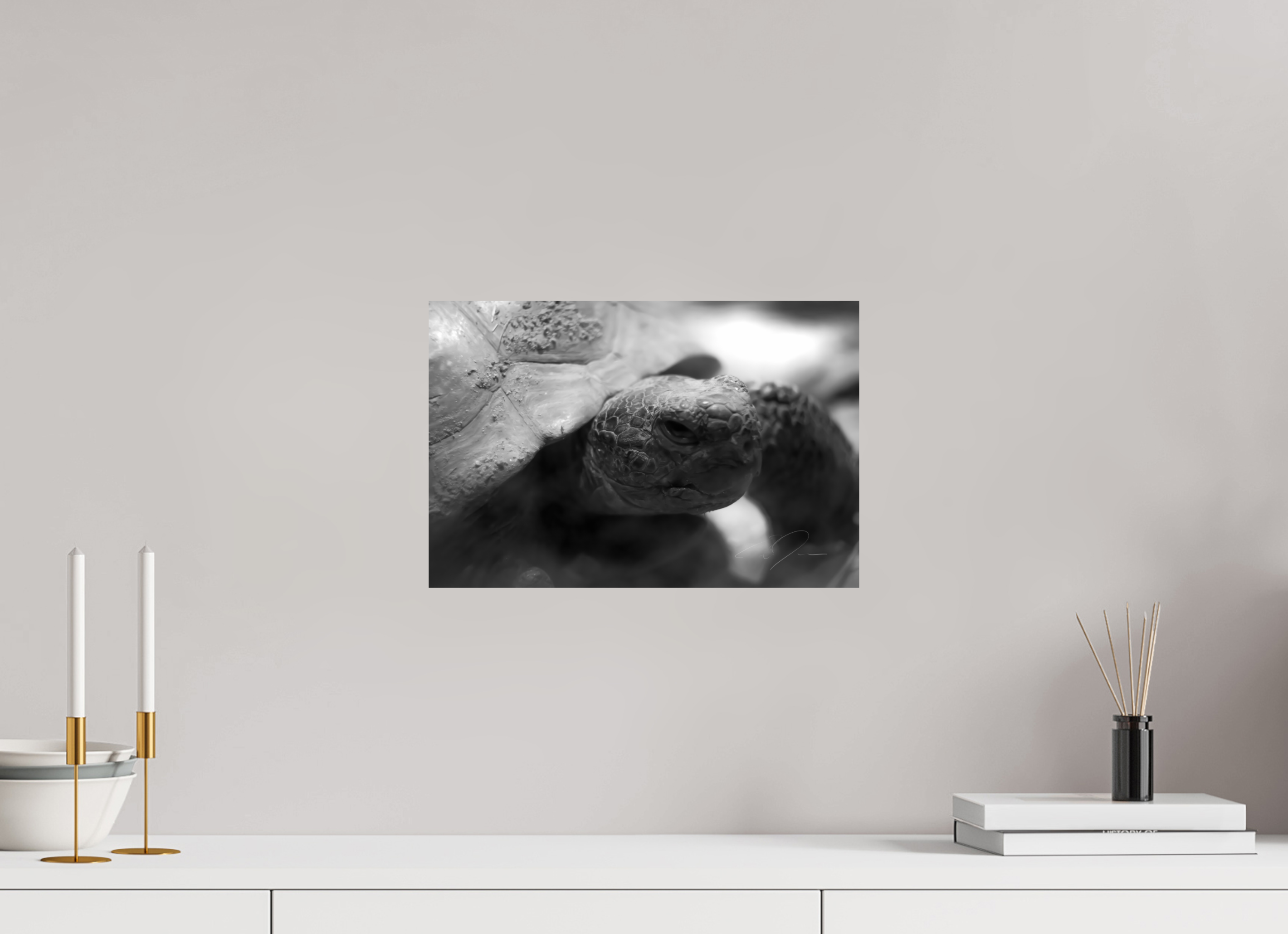 15 x 10″, PRINT ONLY [FUJI CRYSTAL DP II] TORTOISE
