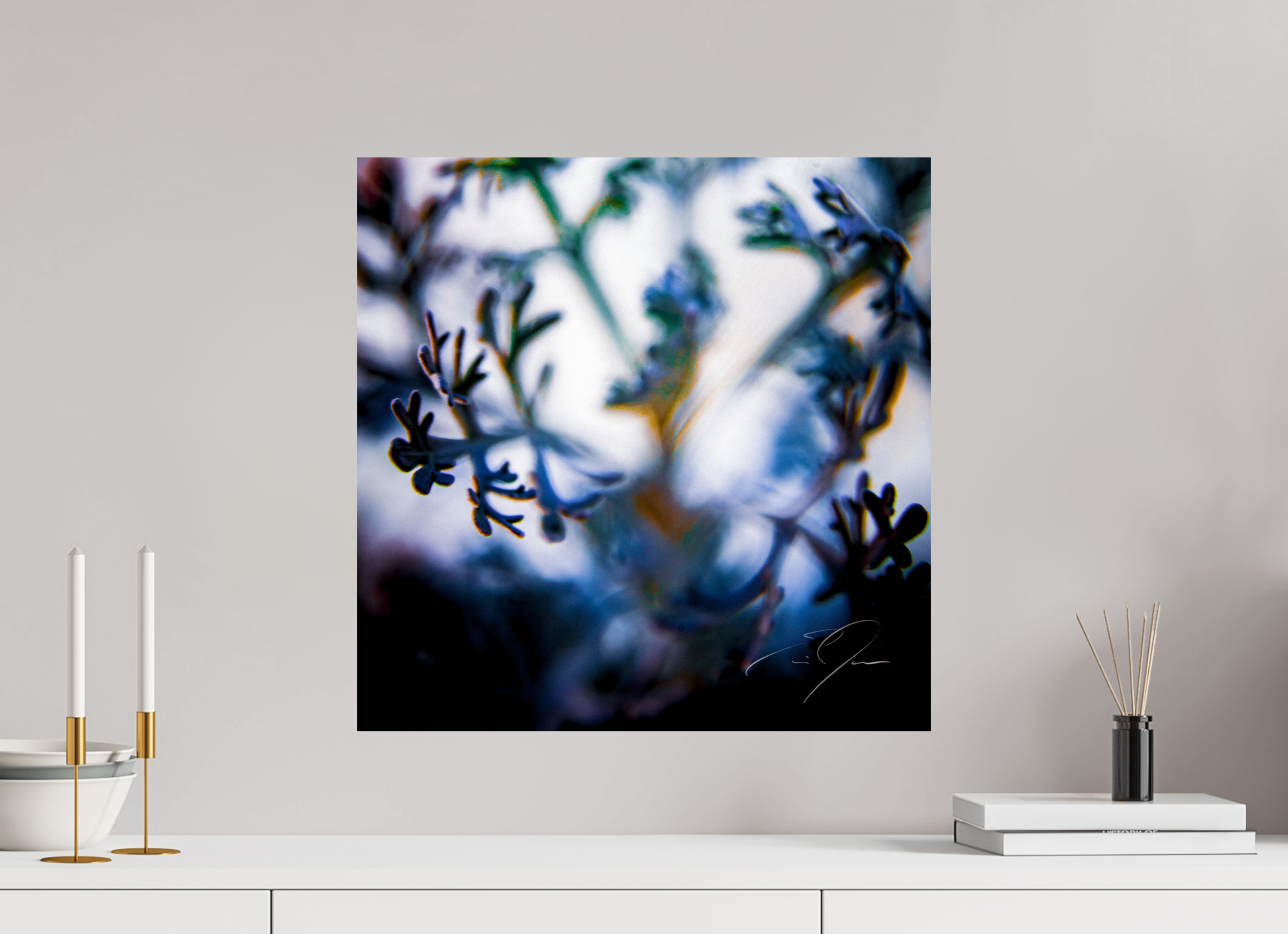 20 x 20″, PRINT ONLY [FUJI CRYSTAL DP II] SENTIENCE