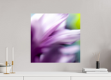 20 x 20″, PHOTO PRINT - FUJIFLEX HIGH GLOSS FLEETING