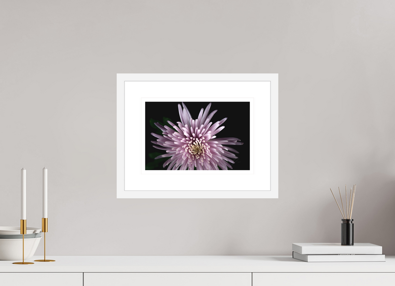 12 x 8″, FRAME - SOLID WOOD [FUJIFLEX] MUM