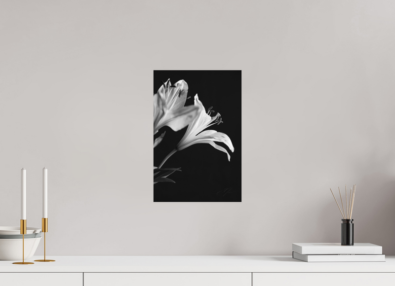 10 x 15″, PHOTO PRINT - FUJIFLEX HIGH GLOSS PETALS' LIGHT