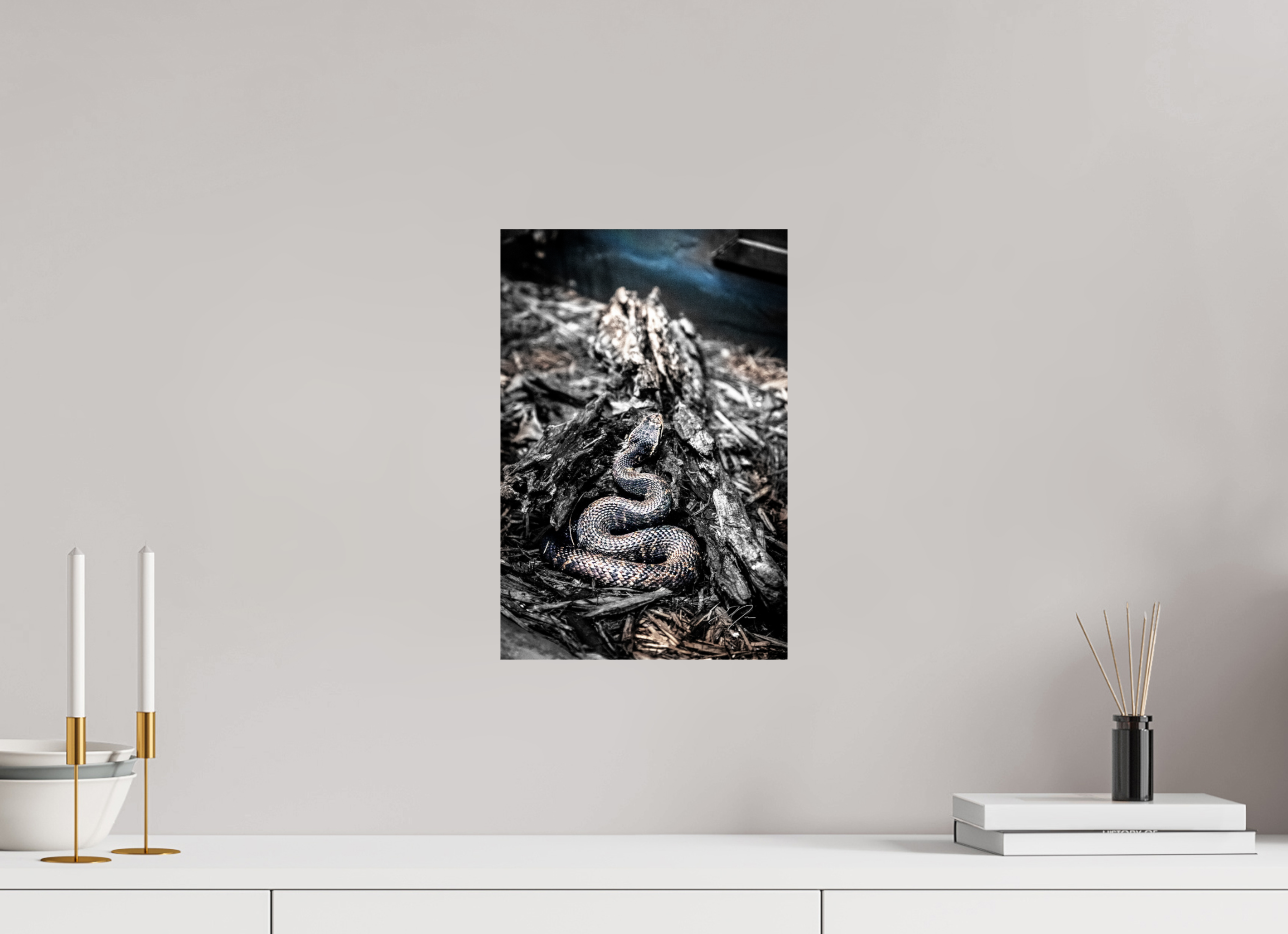10 x 15″, PRINT ONLY [FUJI CRYSTAL DP II] COILED