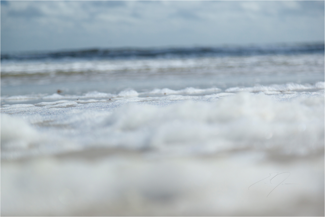 Main image COASTAL