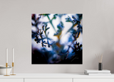 20 x 20″, PHOTO PRINT - FUJIFLEX HIGH GLOSS SENTIENCE
