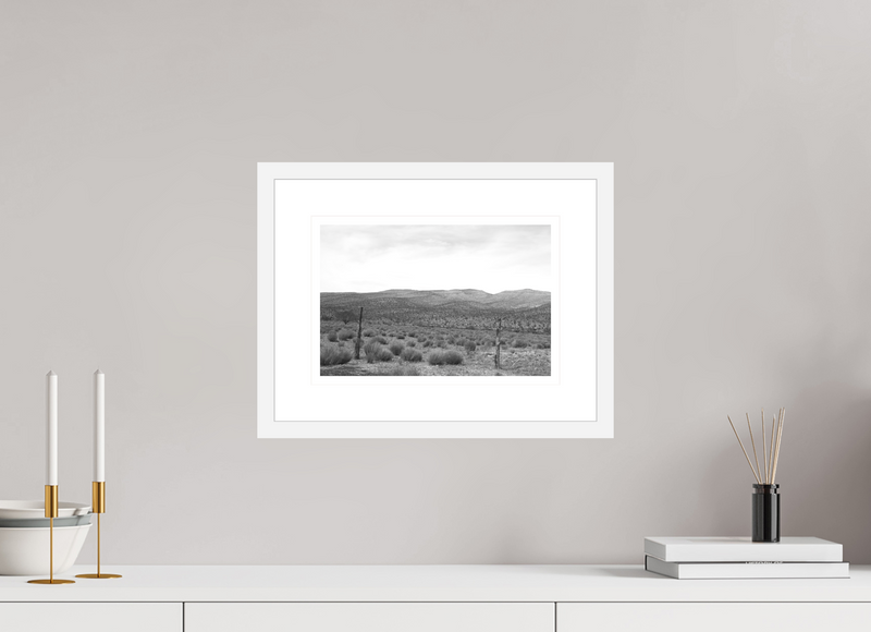 12 x 8″, FRAME - SOLID WOOD [FUJIFLEX] SOLITUDE