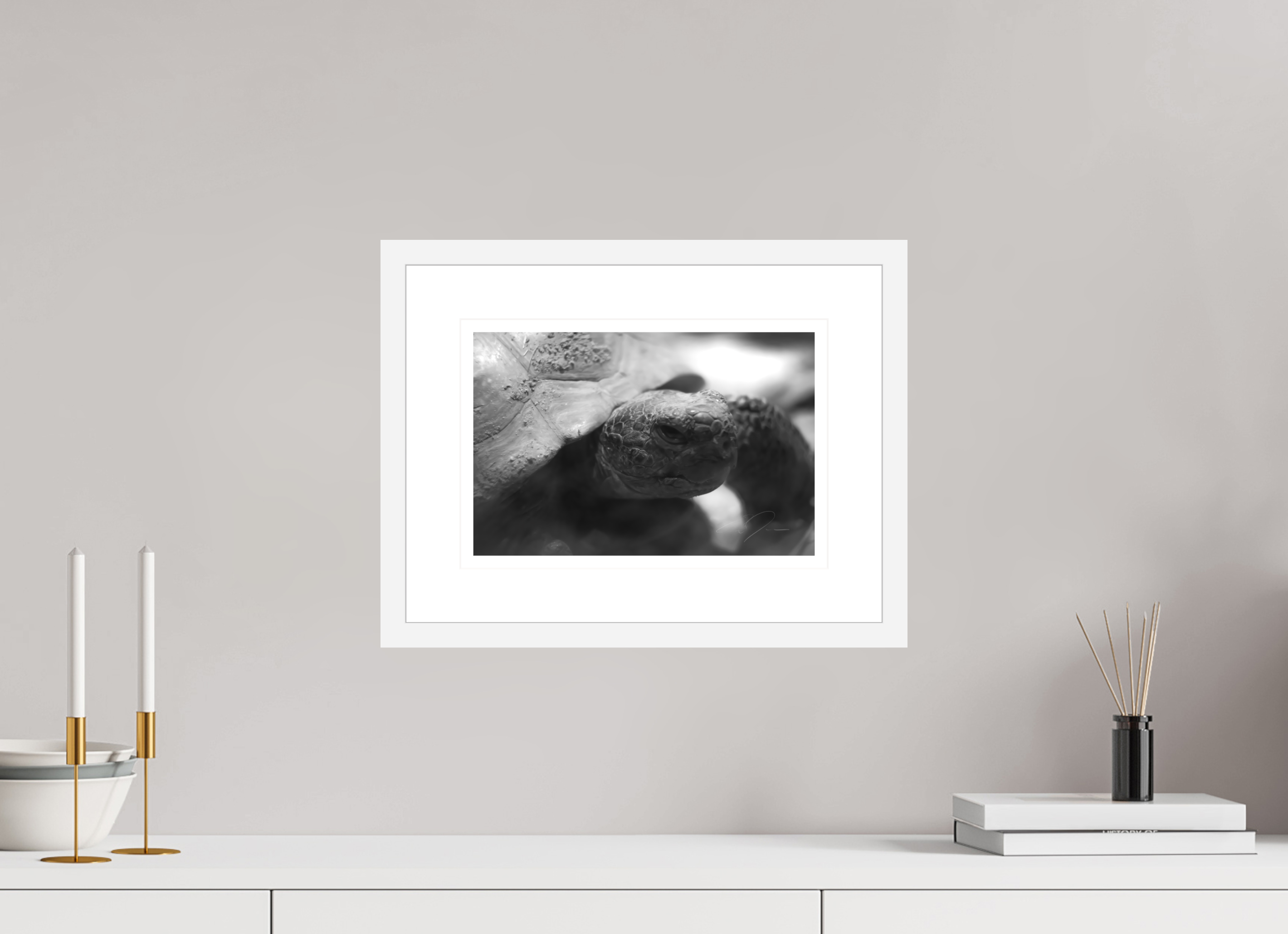 12 x 8″, FRAME - SOLID WOOD [FUJIFLEX] TORTOISE