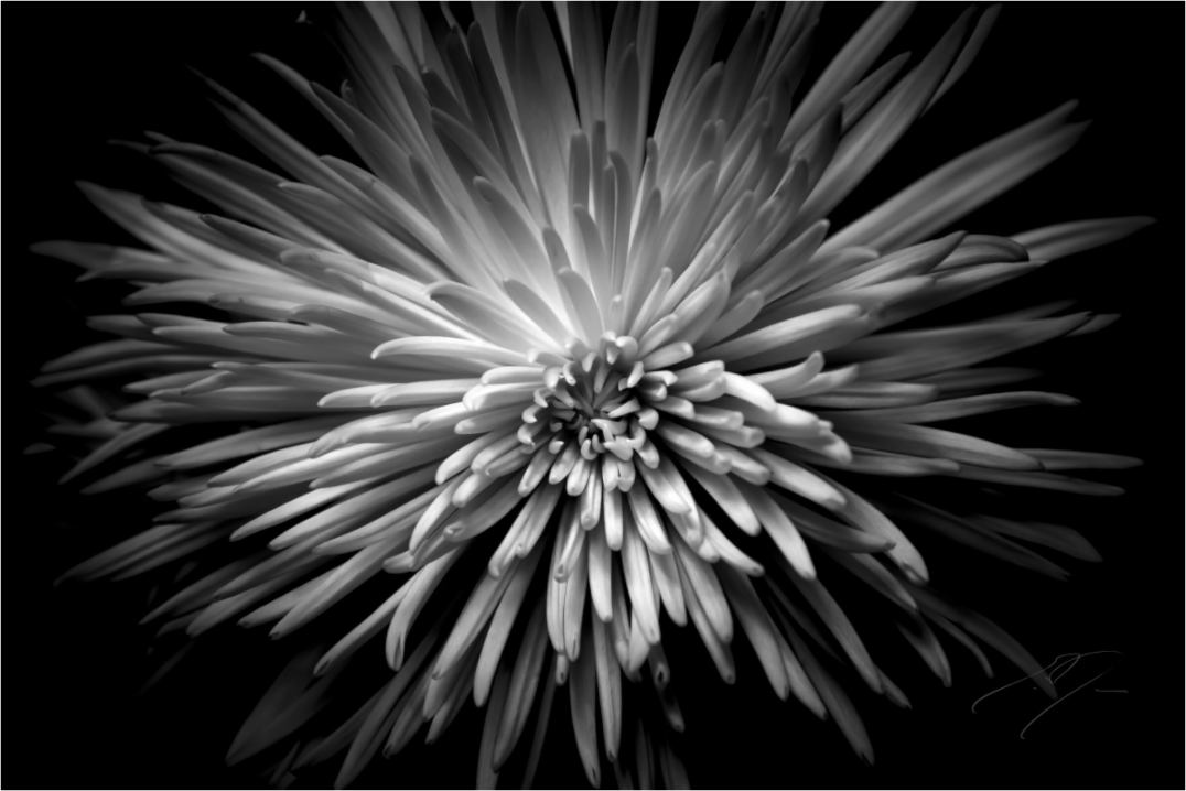Main image MUM, No.7