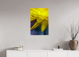 20 x 30″, PHOTO PRINT - FUJIFLEX HIGH GLOSS EDGE OF FALLING