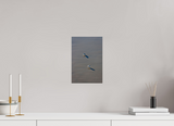 8 x 12″, PHOTO PRINT - FUJIFLEX HIGH GLOSS TWO BIRDS